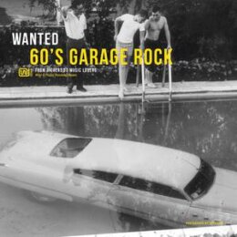 VARIOUS - WANTED 60S GARAGE ROCK - LP
