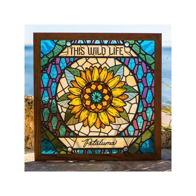 THIS WILD LIFE - PETALUMA - CD