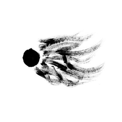 AGF/VARIOUS - DISSIDENTOVA - CD