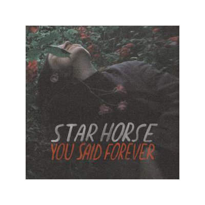 STAR HORSE - YOU SAID FOREVER - LP