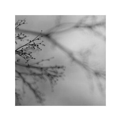 DAKOTA SUITE / ROSENQVIST, DAG / ERRANTE, EMANUELE - WHAT MATTERS MOST - CD