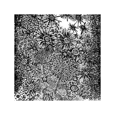 SPIRIT FEST - ANOHITO - LPD