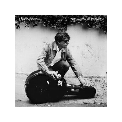 GUNN, STEVE - THE UNSEEN IN BETWEEN - CD