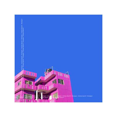 SPECHTL, ANDREAS - STRATEGIES - CD