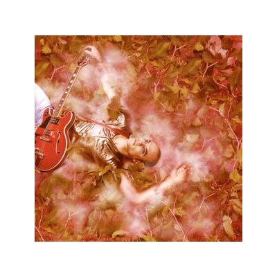 ELECTRONICAT - VOODOO MAN - CD