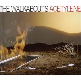 WALKABOUTS, THE - ACETYLENE - CD