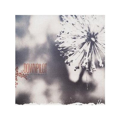 DOWNPILOT - LIKE YOU BELIEVE IT - CD