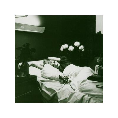 ANTONY AND THE JOHNSONS - I AM A BIRD NOW - CD