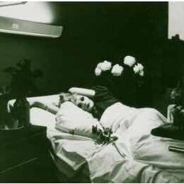 ANTONY AND THE JOHNSONS - I AM A BIRD NOW - CD