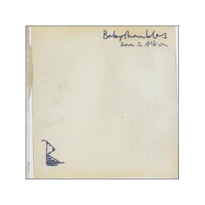 BABYSHAMBLES - DOWN IN ALBION - CD