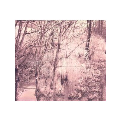 ESBEN AND THE WITCH - VIOLET CRIES - CD