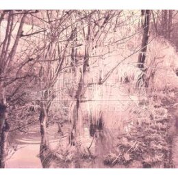 ESBEN AND THE WITCH - VIOLET CRIES - CD