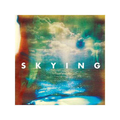HORRORS, THE - SKYING - CD
