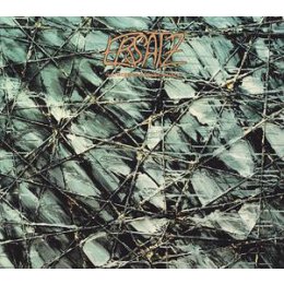 MOEBIUS & RENZIEHAUSEN - ERSATZ - LP