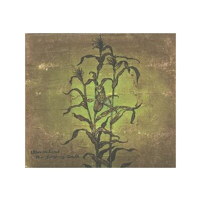 WOVENHAND - THE LAUGHING STALK - CD