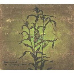 WOVENHAND - THE LAUGHING STALK - CD