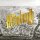 HOUNDMOUTH - FROM THE HILLS BELOW THE CITY - CD