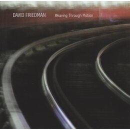 FRIEDMAN, DAVID - WEAVING THROUGH MOTION - CD