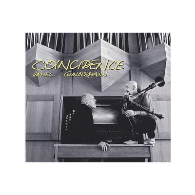 HAMEL, PETER MICHAEL/GUNDERMANN, THOMAS - COINCIDENCE - CD