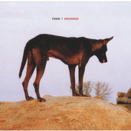 FENIN - GROUNDED - CD