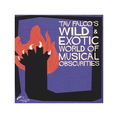 VARIOUS - TAV FALCOS WILD & EXOTIC WORLD OF MUSICAL OBSCURITIES - CD