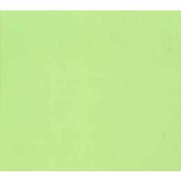 SCHNITZLER, CONRAD - GRÜN - CD