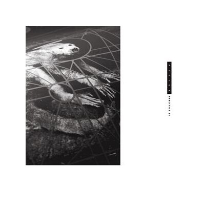 PIXIES - DOOLITTLE 25 - CD