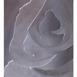 A-SYMMETRY - I AM LIFE - CD