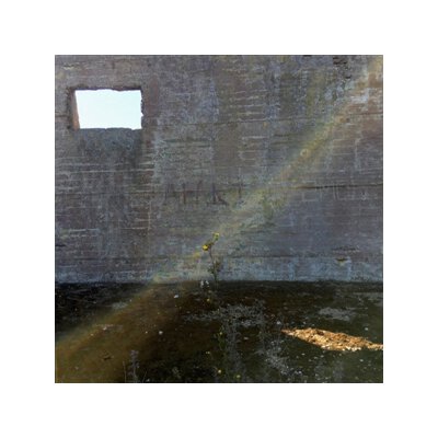 DESPERATE JOURNALIST - IN SEARCH OF THE MIRACULOUS - LP