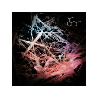 ARBEIT, JOCHEN/SCHICKERT, GÜNTER/SCHNEIDER TM - ASS - CD