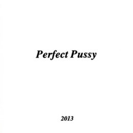 Perfect Pussy - I Have Lost All Desire For Feeling -...