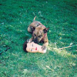 JOYCE MANOR - CODY - CD