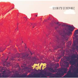 SCHNIPO SCHRANKE - RARE - CD