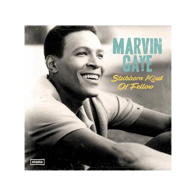GAYE, MARVIN - STUBBORN KIND OF FELLOW - LP