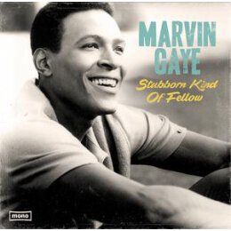 GAYE, MARVIN - STUBBORN KIND OF FELLOW - LP