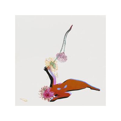 FUTURE ISLANDS - THE FAR FIELD - CD