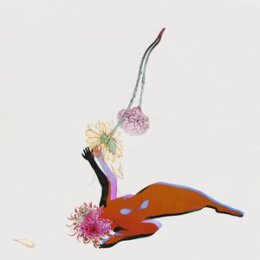 FUTURE ISLANDS - THE FAR FIELD - CD