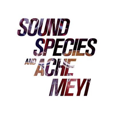 SOUNDSPECIES/ACHE MEYI - SOUNDSPECIES & ACHE MEYI - LP
