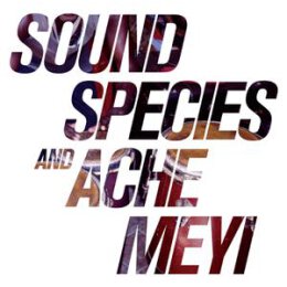 SOUNDSPECIES/ACHE MEYI - SOUNDSPECIES & ACHE MEYI - LP