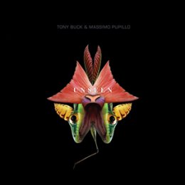 BUCK, TONY & PUPILLO, MASSIMO - UNSEEN - CD