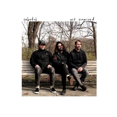 SEBADOH - ACT SURPRISED - LP