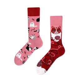 Many Mornings Socks - Playful Cat - Socken