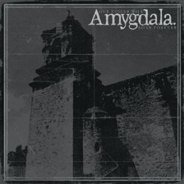 AMYGDALA - OUR VOICES WILL SOAR FOREVER - LP