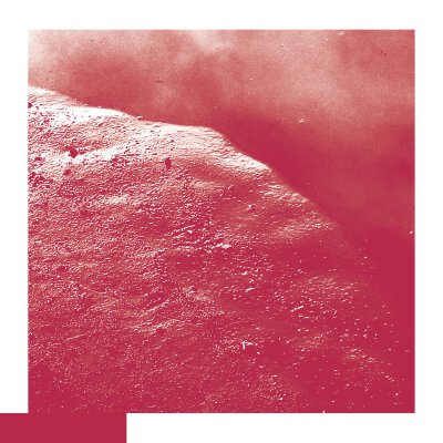 ALLRED, DAVID - THE CELL - CD