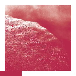 ALLRED, DAVID - THE CELL - CD