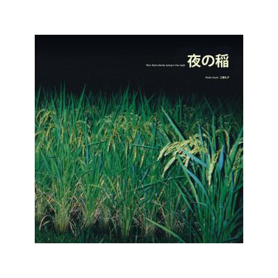 KUDO, REIKO - RICE FIELD SILENTLY RIPING IN THE NIGHT - LPD