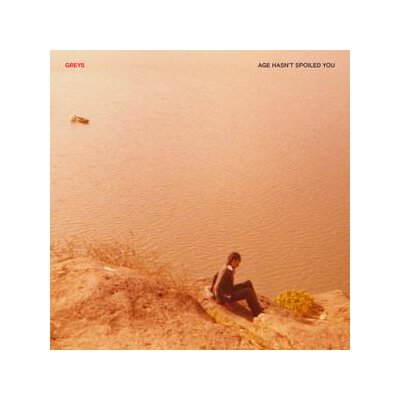 GREYS - AGE HASNT SPOILED YOU - LPD