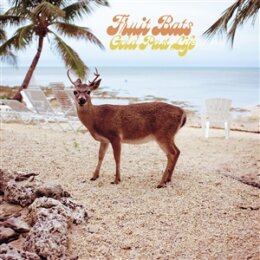 FRUIT BATS - GOLD PAST LIFE - CD