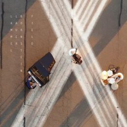 LAMMEL/LAUER/BORNSTEIN - FIELD - CD