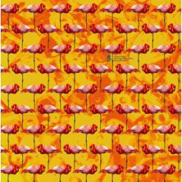 ELEPHANT CHATEAU - DREAMINGS & OFFSHORE DRILLING -...